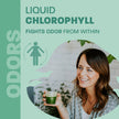 Land Art - Chlorophyll Mint (500ml)