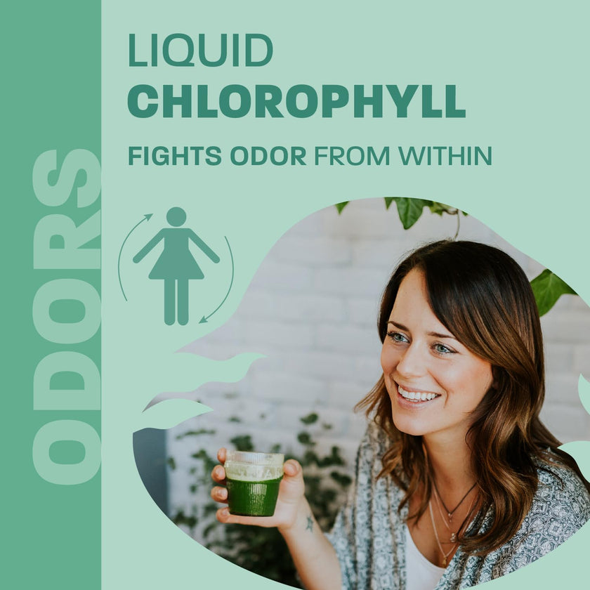 Land Art - Chlorophyll Mint (500ml)