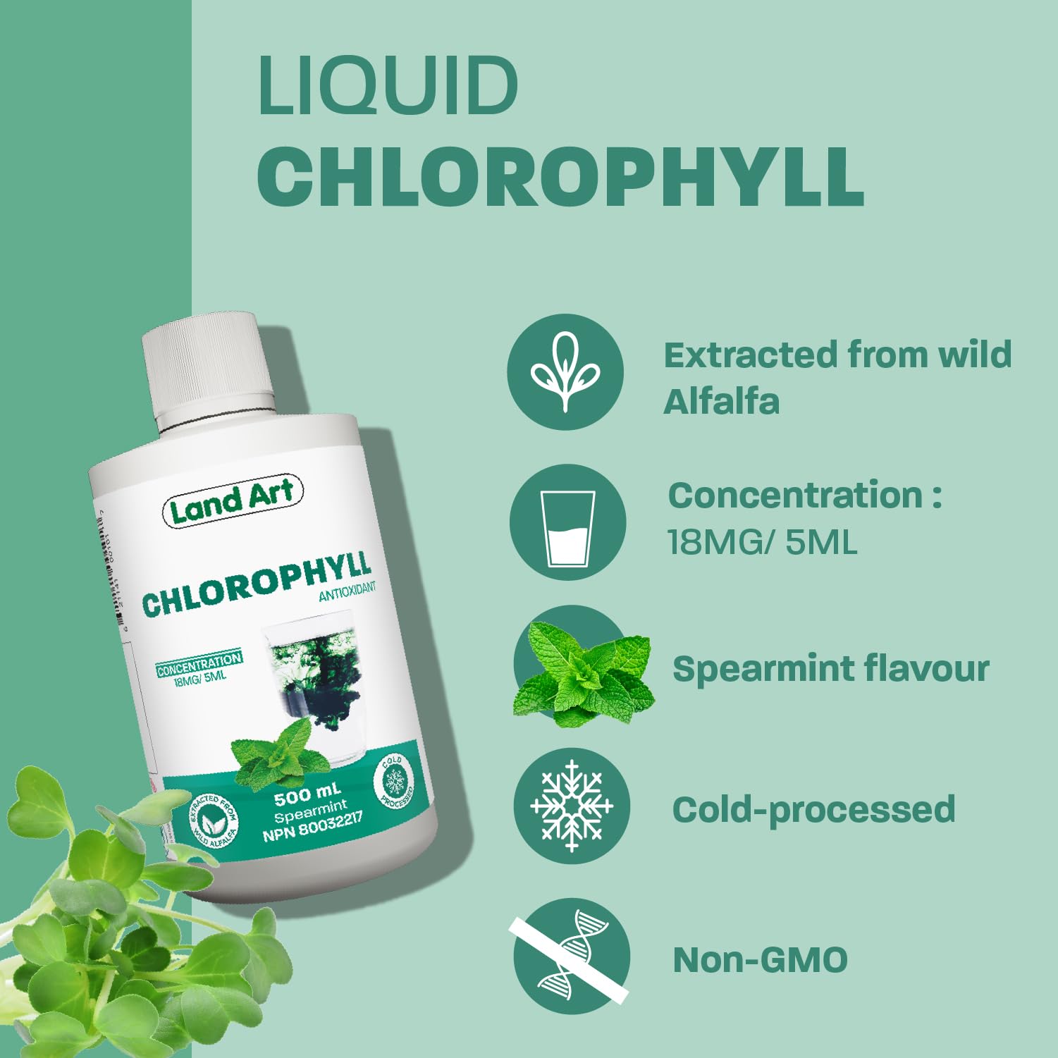 Land Art - Chlorophyll Mint (500ml)