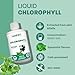 Land Art - Chlorophyll Mint (500ml)