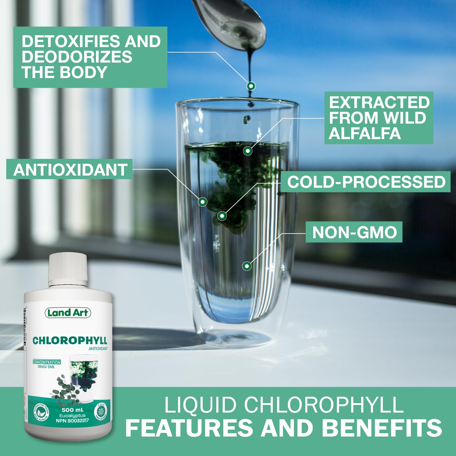 Land Art - Chlorophyll Eucalyptus (500ml)
