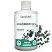Land Art - Chlorophyll Eucalyptus (500ml)