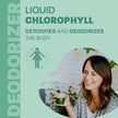 Land Art - Chlorophyll Eucalyptus (500ml)