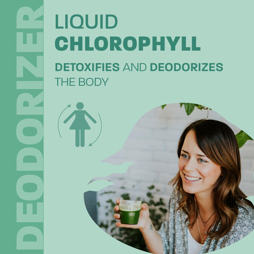 Land Art - Chlorophyll Eucalyptus (500ml)