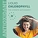 Land Art - Chlorophyll Eucalyptus (500ml)
