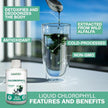 Land Art - Chlorophyll Eucalyptus (500ml)