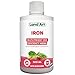 Land Art - Iron (500ml)