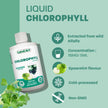 Land Art - Chlorophyll Apple (500ml)