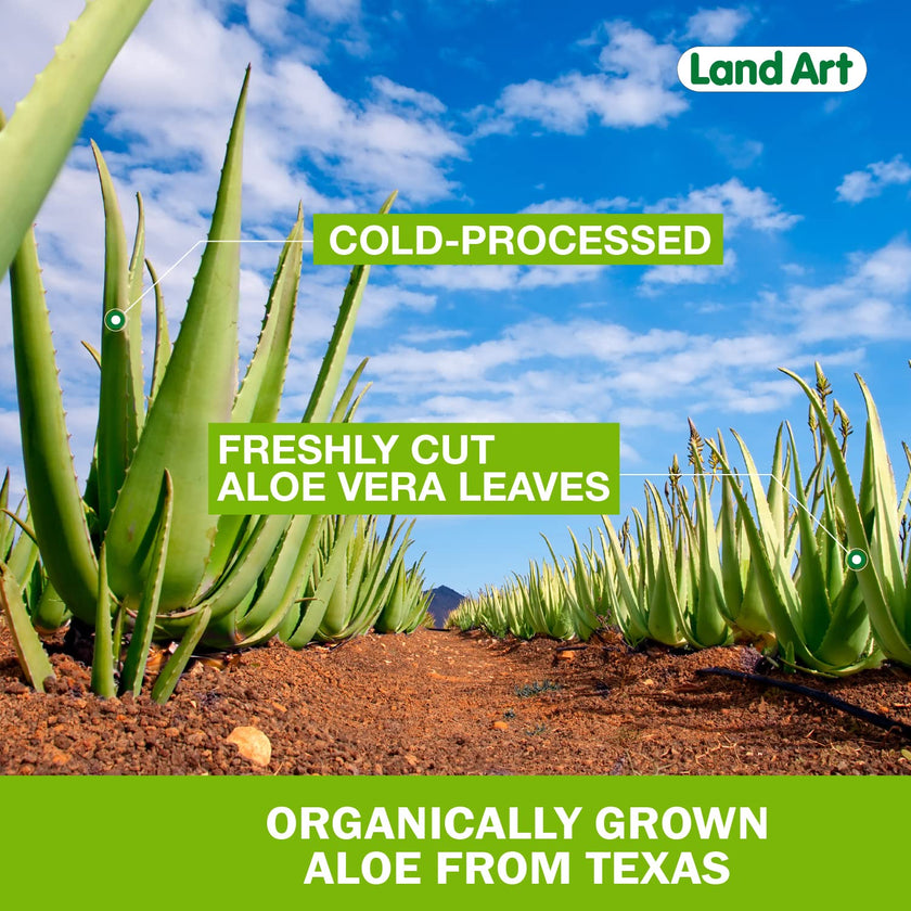 Land Art - Omega-3 Cold Pressed Oil - Orange (250ml)