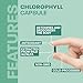 Land Art - Chlorophyll Capsules (90vcap)