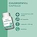 Land Art - Chlorophyll Capsules (90vcap)