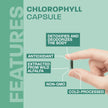 Land Art - Chlorophyll Capsules (90vcap)