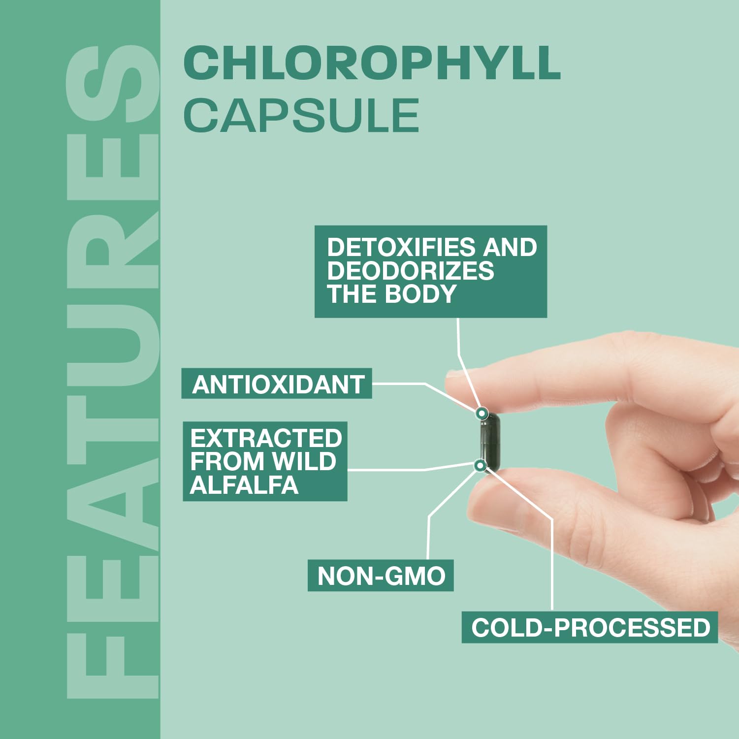 Land Art - Chlorophyll Capsules (90vcap)
