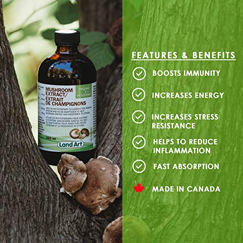 Land Art - Organic Mushroom Extract (250ml)