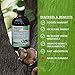 Land Art - Organic Mushroom Extract (250ml)