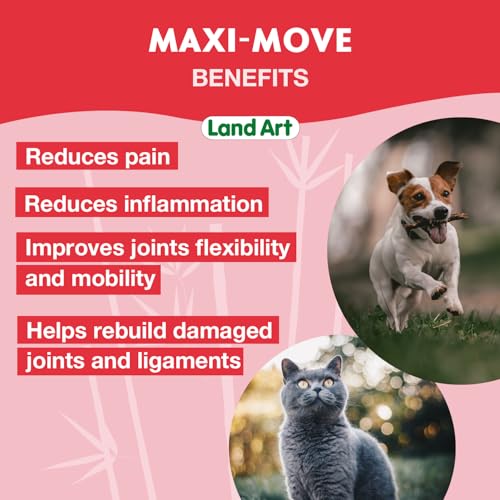 Land Art - Maxi-Move (240ml)