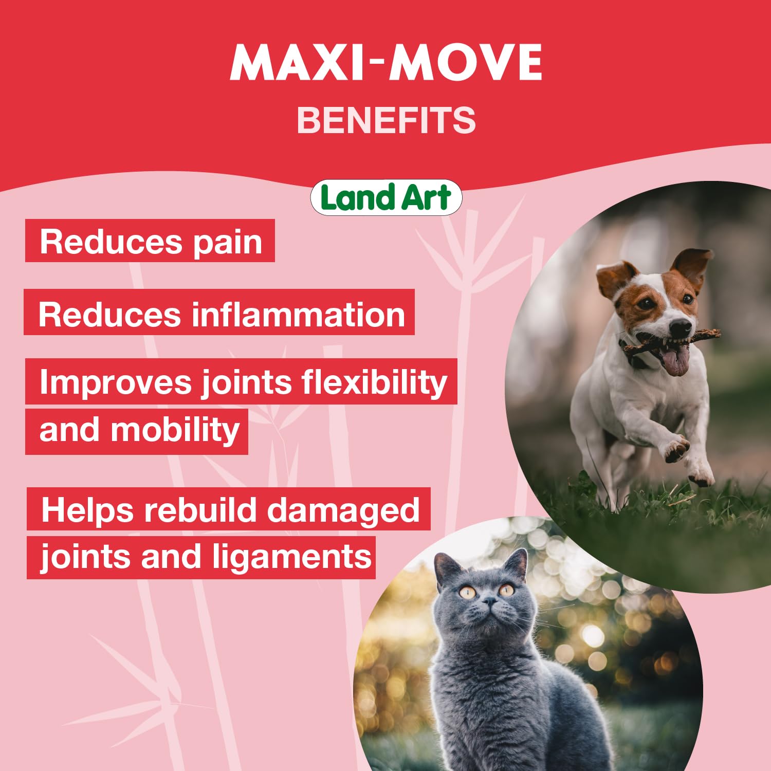 Land Art - Maxi-Move (240ml)
