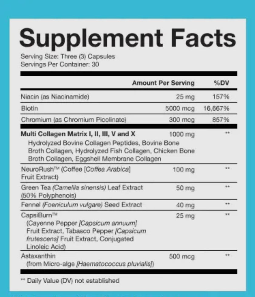 Obvi. Collagenic Fast