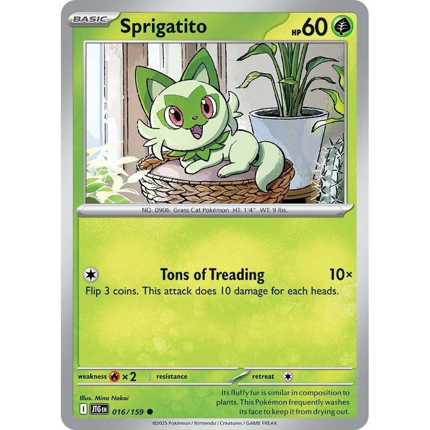 Sprigatito (016/159) (JTG)