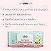 Aleva Naturals - Soothing Diaper Cream (100ml)