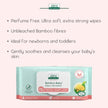 Aleva Naturals - Soothing Diaper Cream (100ml)