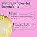 Attitude - Deodorant - Coconut & Wild Berries (75g)