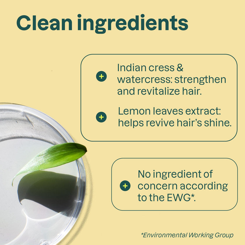 Attitude - Deodorant - Lemon Leaves (85g)