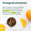Attitude - Hand Soap - Orange Cinnamon (473ml)