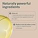 Attitude - Body Butter Stick - Sandalwood (85g)