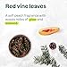 Attitude - Body Lotion - Red Vine Leaves (473ml)