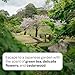 Attitude - Ambient Spray - Japanese Garden (240ml)