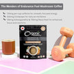Organic Traditions - Endurance Fuel (140g)