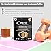 Organic Traditions - Endurance Fuel (140g)