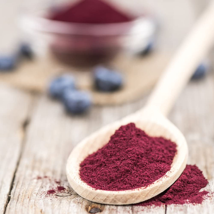Organic Traditions - Fibre Fuel - Berry (300g)
