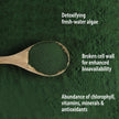 Organic Traditions - Chlorella Powder (150g)