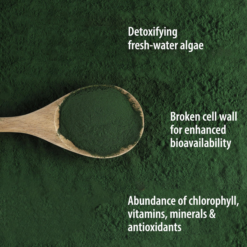 Organic Traditions - Chlorella Powder (150g)