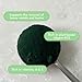 Organic Traditions - Spirulina Powder (150g)