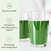 Organic Traditions - Wheat Grass Juice Powder (150g)
