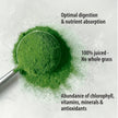 Organic Traditions - Barley Grass Juice Powder (150g)