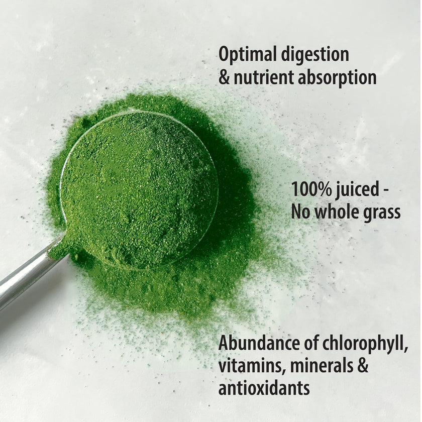 Organic Traditions - Barley Grass Juice Powder (150g)