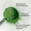 Organic Traditions - Barley Grass Juice Powder (150g)