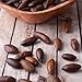 Organic Traditions - Roasted Baru Seeds (150g)