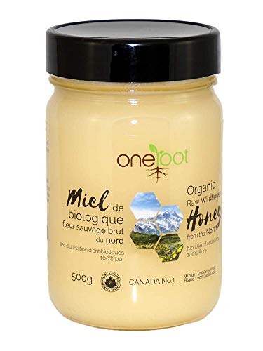 OneRoot - Organic Raw Wildflower Honey (500g)