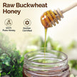 OneRoot - Raw Buckwheat Honey (500g)