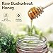 OneRoot - Raw Buckwheat Honey (500g)
