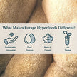 Forage Hyperfoods - Reishi Tincture - Original (118ml)