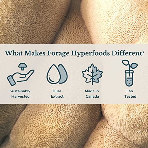 Forage Hyperfoods - Reishi Tincture - Original (118ml)