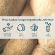 Forage Hyperfoods - Reishi Tincture - Original (118ml)