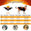 Pumpkin Dog Sweater | Halloween Dog Costume