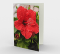 Set of 3 Blank Greeting Cards | 5 x 7 | Hibiscus Flower